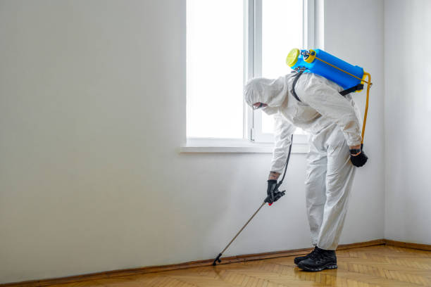 Best Fumigation Services  in Strawberry Point, IA